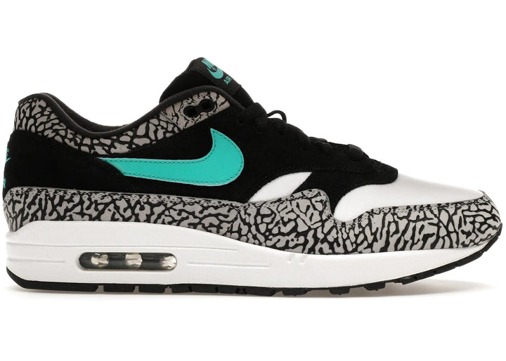 Nike Air Max 1